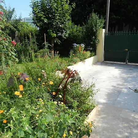 Studio In Josephine * Nicea