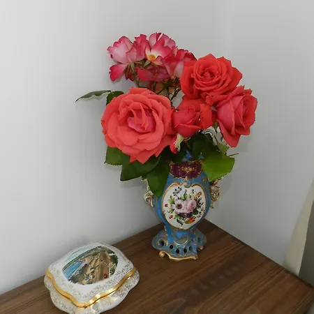 Apartament Studio In Josephine