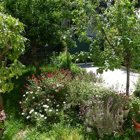 Studio In Josephine