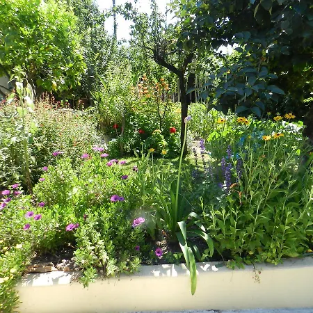Studio In Josephine Daire Nice